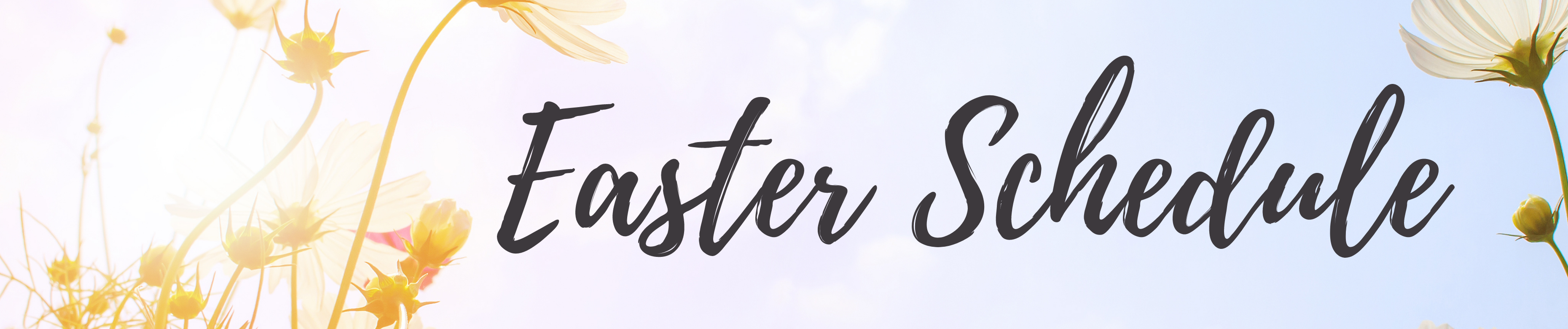 Easter Schedule banner